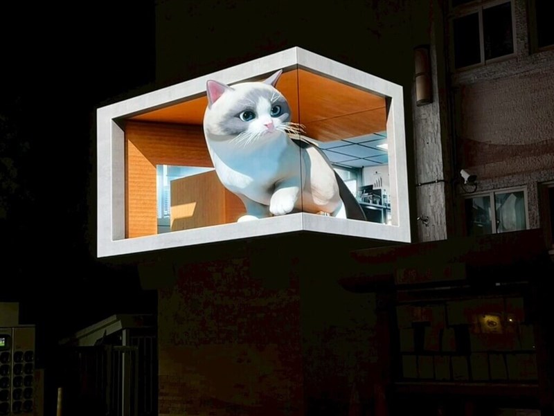 花蓮市公所の屋外裸眼3Dビジョンに登場するラグドール猫=同市公所提供