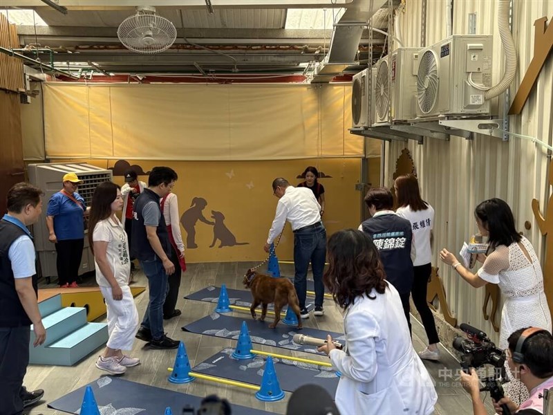 保護犬のリハビリを体験する侯友宜新北市長(中央)=2026年7月3日、中央社記者曹亜沿撮影