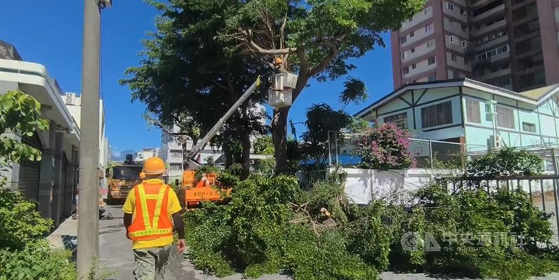 台風9号の接近に備え、街路樹の剪定（せんてい）を急ぐ作業員＝2026年7月7日、中央社記者盧太城撮影