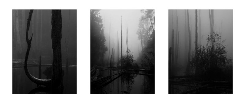 「第19回iPhoneフォトグラフィーアワード」（IPPAWARDS）のシリーズ部門で1位に輝いたラスダ・タクバヌアズさんのグレースケール3連作（本人提供）