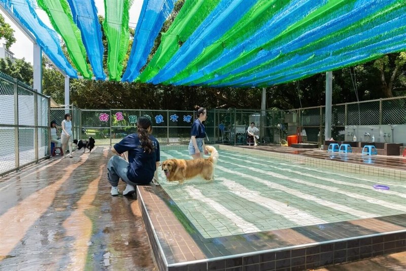 桃園市政府動物保護処南昌動物保護教育園区のペットプール＝新竹市政府提供