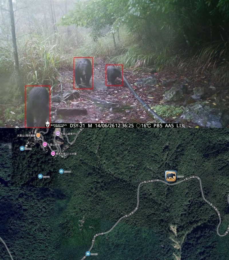 農業部林業・自然保育署（林保署）が公開した映像の一部（林保署提供）