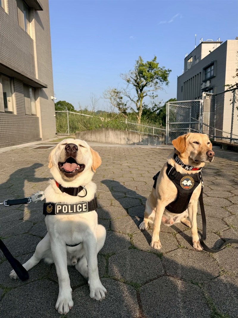 内政部（内務省）は3日、今年の国慶日の祝賀パレードに警察犬や災害救助犬も参加すると発表した＝同部提供