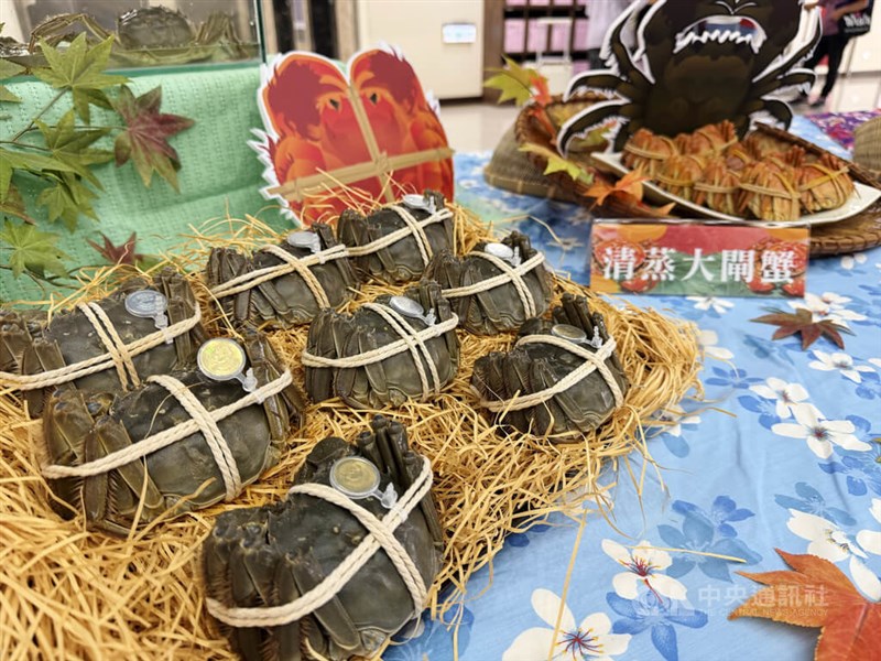 旬を迎えた苗栗県産の上海ガニ