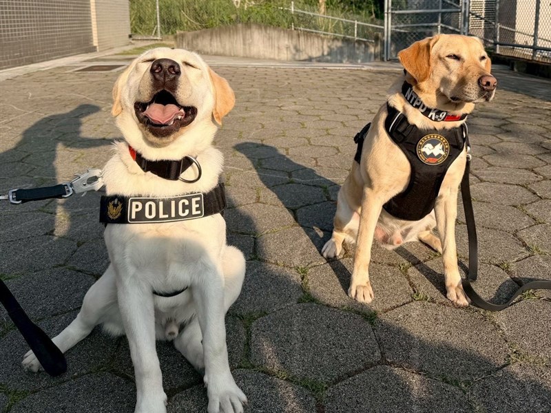 10月10日の国慶日パレード、警察犬や災害救助犬も登場へ