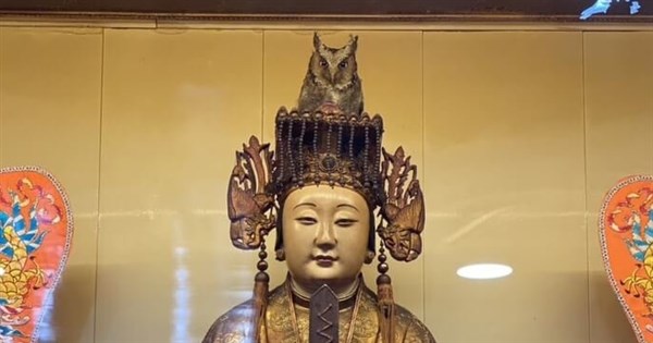 国宝級 祖霊像 台湾 台湾の奇界遺産】ここは地獄？！いえ台北の金剛宮