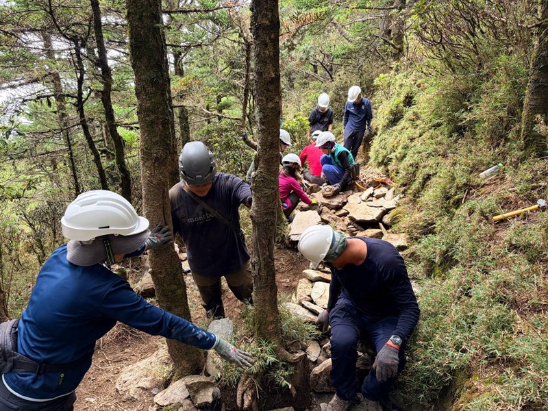 La 11.ª Jornada de Trabajo Artesanal en el Sendero del Lago Jiaming congregó a 16 voluntarios para trabajar en la restauración de varios tramos del sendero. (Imagen proporcionada por La oficina de Taitung de la Agencia Forestal y de Conservación de la Naturaleza)