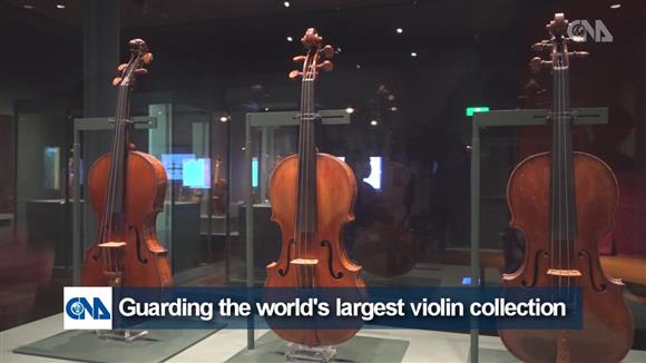 World's deals largest violin