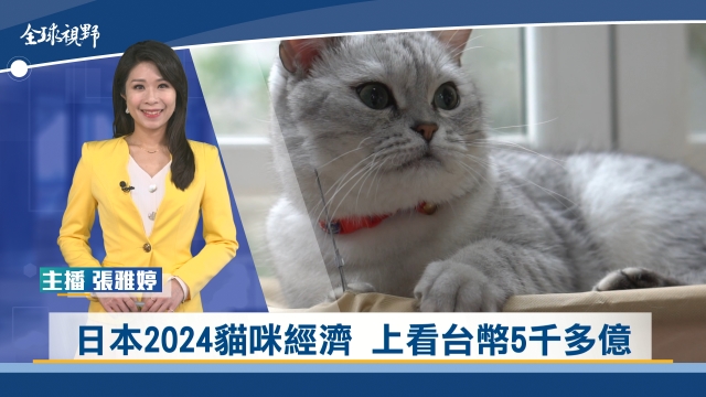 日本2024貓咪經濟 上看台幣5千多億