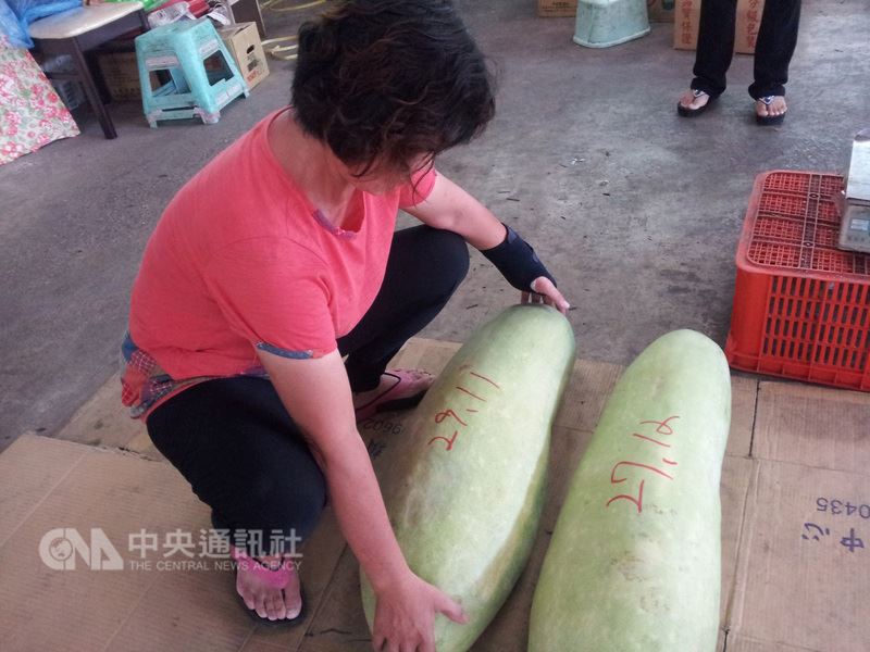 花蓮彭姓婦人在市場賣菜近30年,常搬重物,因為腿、臀部出現痠麻、疼痛求診,確診為腰椎椎間盤突出。在花蓮慈濟醫院職業醫學科主任劉鴻文及東區職業傷病防治中心協助下,為彭婦申請職業病相關給付,積極復健治療,現已回到原職場工作。(花蓮慈濟醫院提供)中央社記者李先鳳傳真 107年6月26日