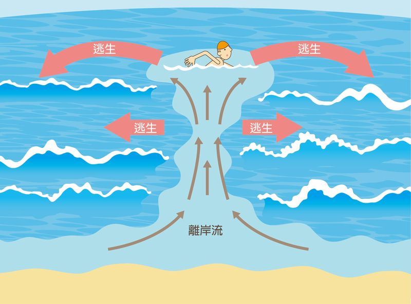 脫離離岸流的技巧,是由平行陸地的方式往離岸流的兩側游開。(圖取自中央氣象局數位科普網pweb.cwb.gov.tw)