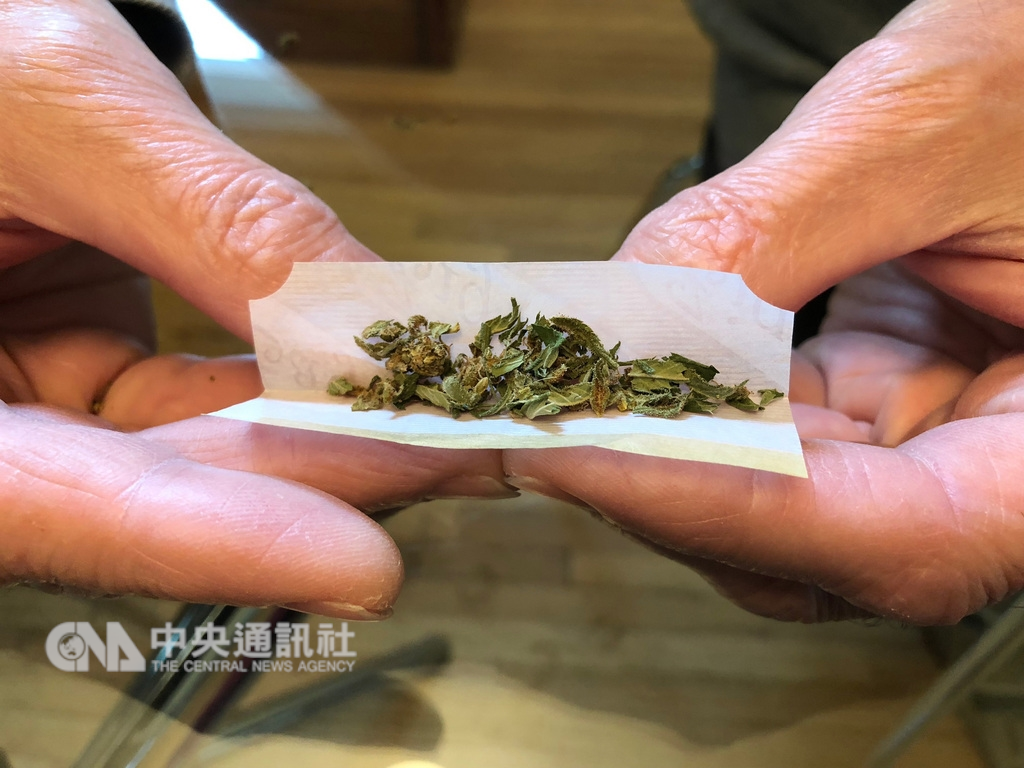 特派專欄加拿大以舉國之力成為大麻合法化實驗地 國際 重點新聞 中央社cna