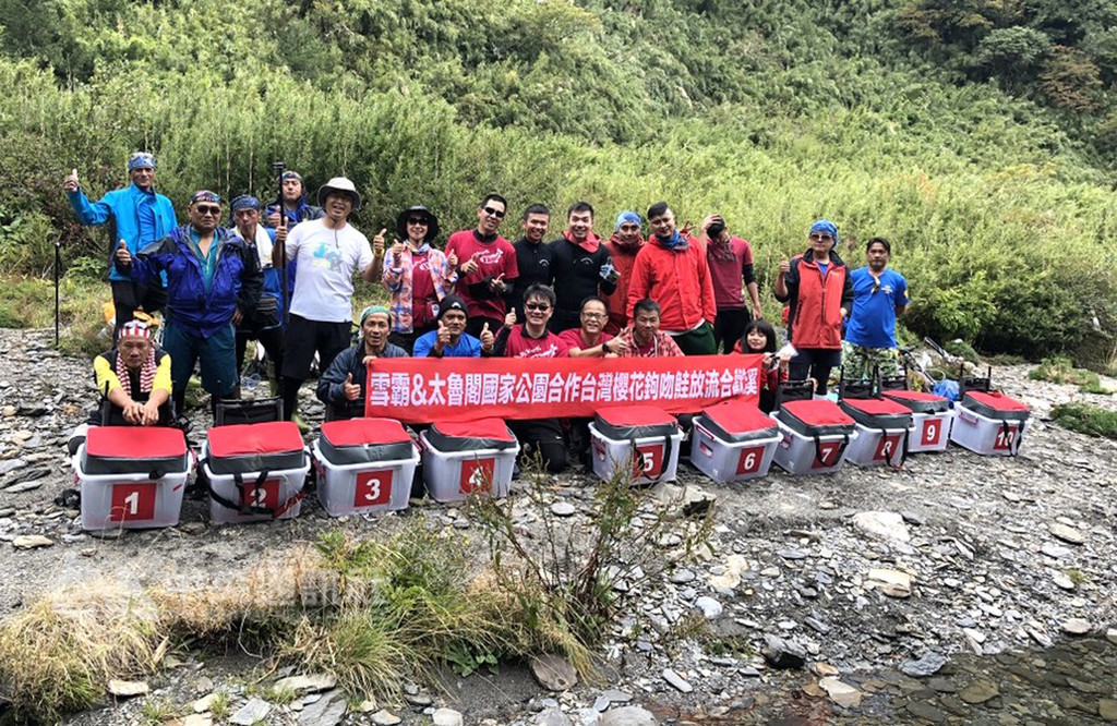 雪霸國家公園管理處積極尋覓各處歷史棲地進行國寶魚「台灣櫻花鉤吻鮭」移地保育,經一年評估,鎖定南投縣合歡溪進行放流,數量達3000尾。(雪霸國家公園管理處提供)中央社記者管瑞平傳真 107年10月31日