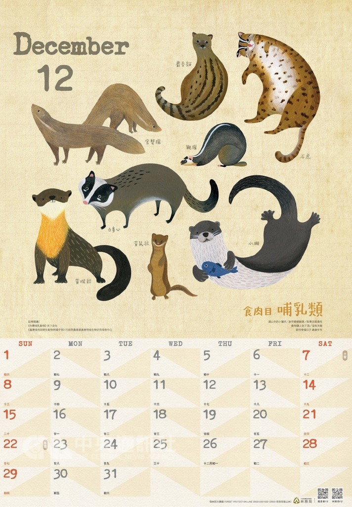 農委會林務局推出108年「里山動物曆」,12月1日下午1時在華山文創園區的山產店開賣,盼能喚起民眾愛護里山動物之心。(林務局提供)中央社記者楊淑閔傳真 107年11月27日