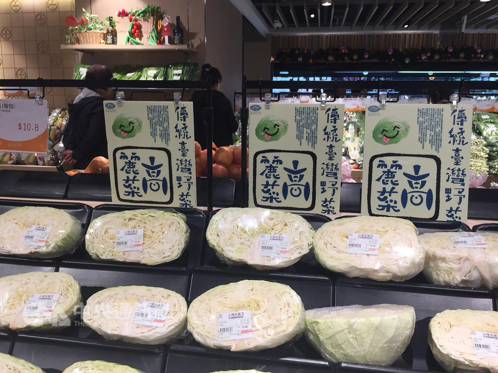 台灣高麗菜在今年第4季盛產,首批外銷香港的高麗菜3日在超級市場及其他零售點上架,讓港人品嘗。(香港台北貿易中心提供)中央社記者張謙香港傳真 107年12月3日