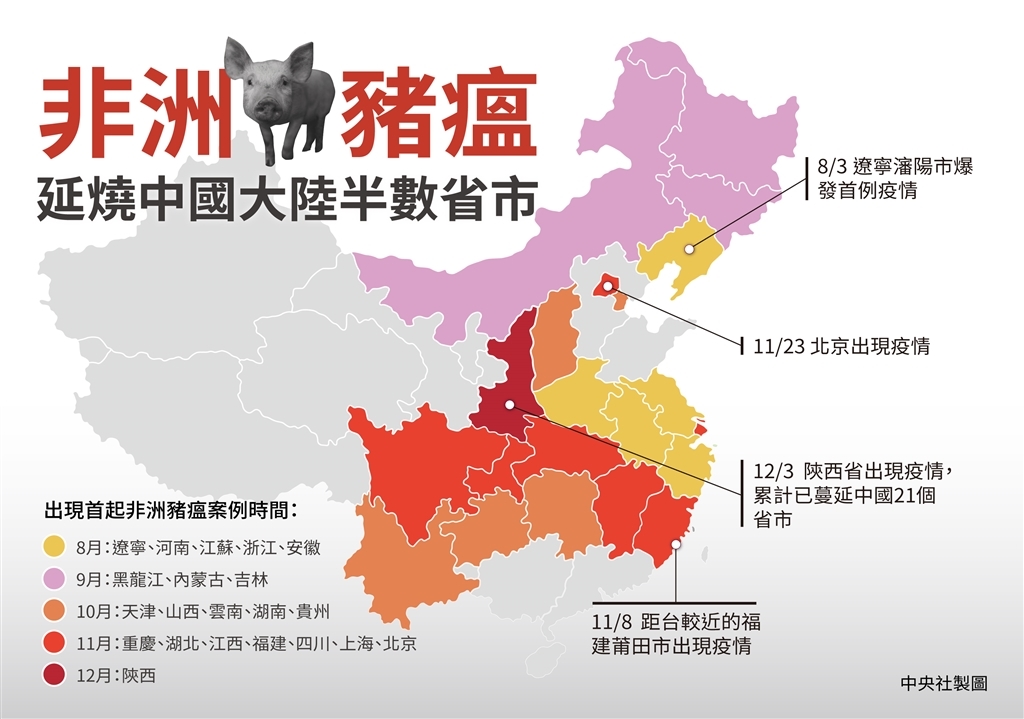 中國大陸自8月起爆發非洲豬瘟疫情,已有21個省市淪陷,但陸方至今未循兩岸協議機制進行通報。(中央社製圖)