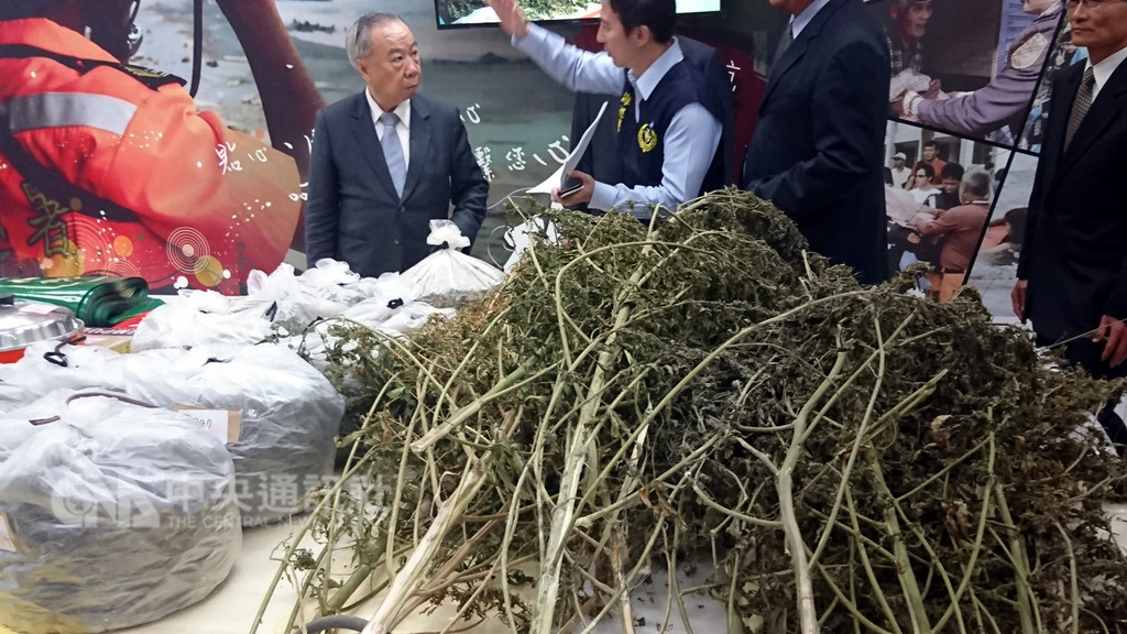海巡署台東查緝隊日前破獲一起大麻毒品工廠案,一名張姓嫌犯在一甲地的荖葉園內種794株大麻,估計市值超過新台幣2億元,台灣高檢署檢察長王添盛(左)12日出席破案記者會,了解相關經過。中央社記者盧太城台東攝 107年12月12日