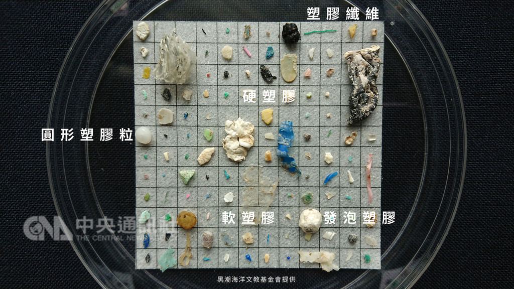 黑潮海洋文教基金會3日公布全台海洋塑膠微粒調查,若將撈到的塑膠分類,在全台海域中都發現硬質塑膠的占比最高,而在八掌溪出海口測點,則計數到最多圓形塑膠粒;此外,還有可能由塑膠袋、食品包裝為來源的軟塑膠與漁業活動如支撐蚵棚架的發泡塑膠。(黑潮海洋文教基金會提供)中央社記者吳欣紜傳真 108年1月3日