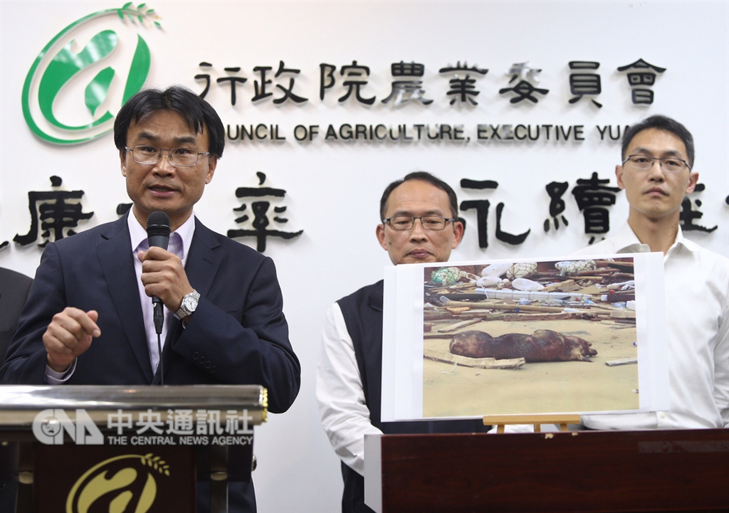 去年底在金門海邊發現的死豬檢體被驗出非洲豬瘟病毒,農委會代理主委陳吉仲(左)3日在記者會中宣布,4日起暫停金門豬肉運輸至台灣本島兩週,以確保台灣本島豬肉安全。中央社記者徐肇昌攝 108年1月3日