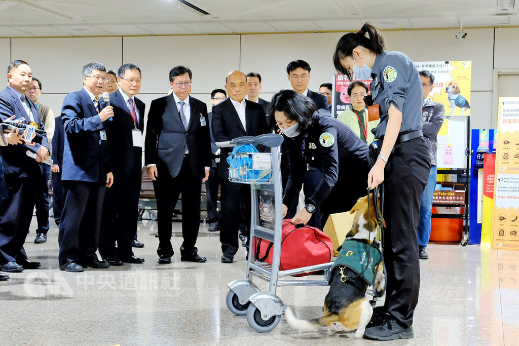 行政院長蘇貞昌(中)14日一上任,立即到桃園機場視察防疫作業,下午進入管制區內行李轉盤區,了解海關及防檢局的稽查作業,並由檢疫犬示範檢測行李過程。中央社記者吳睿騏桃園攝 108年1月14日