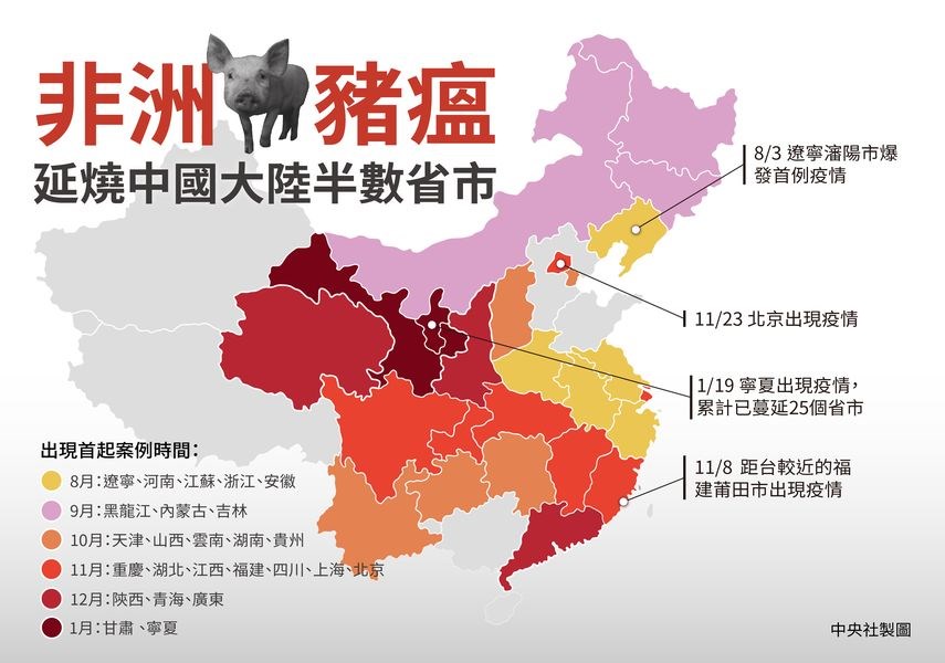 中國31個省市區中,目前已有25省市區出現非洲豬瘟疫情。(中央社製圖)