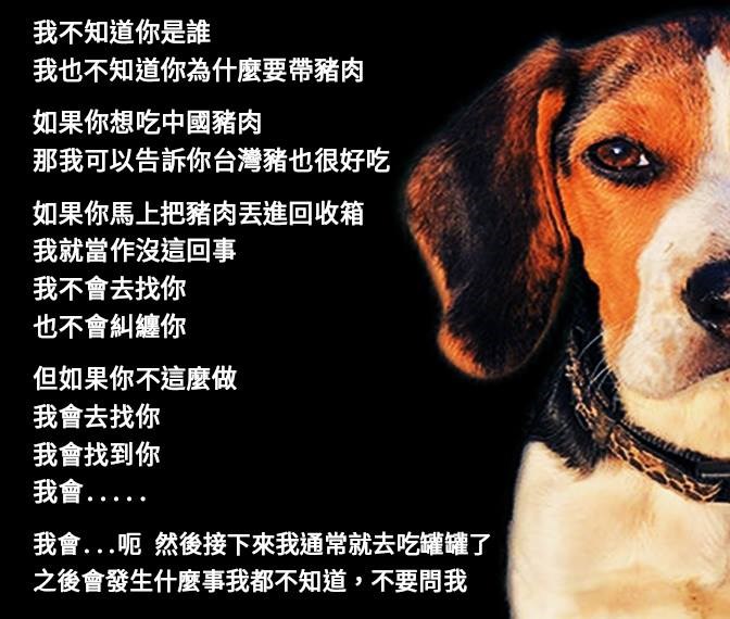 內政部臉書粉絲團「內政大小事-內政部」發布檢疫犬的貼文,引發網友熱烈迴響。(圖取自www.facebook.com/moi.gov.tw)