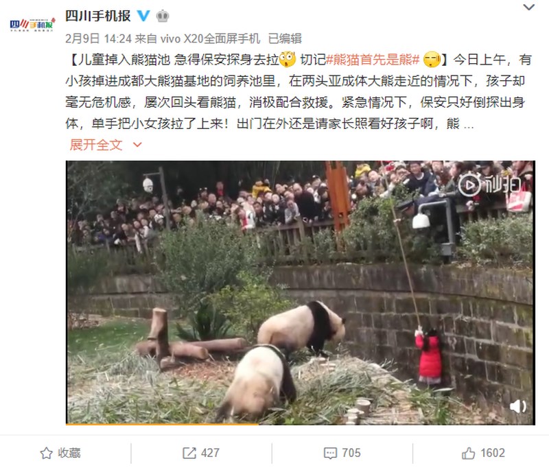 四川9日發生小女孩掉進貓熊飼育池的事故,正逢春節假期,許多遊客圍觀驚叫,在動物園保安人員伸手救援下,小女孩驚險躲開兩隻大貓熊。(圖取自四川手機報微博)