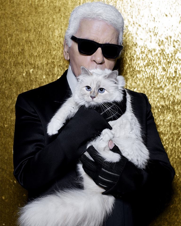 時裝品牌香奈兒藝術總監卡爾拉格斐與愛貓Choupette。(圖取自facebook.com/karllagerfeld)