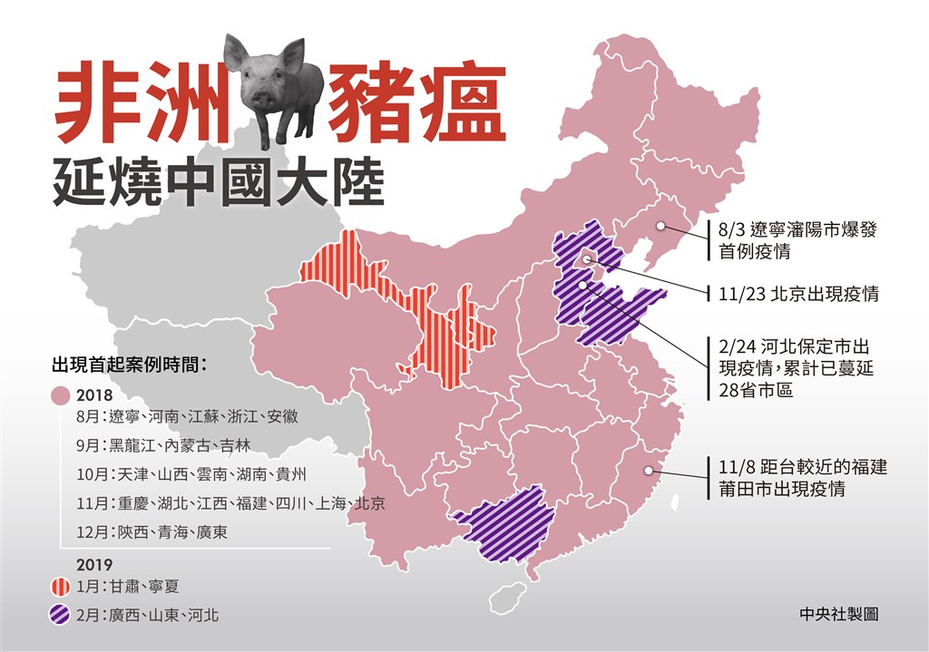 中國目前未發現非洲豬瘟的省區只剩下新疆、西藏和海南3處。(中央社製圖)