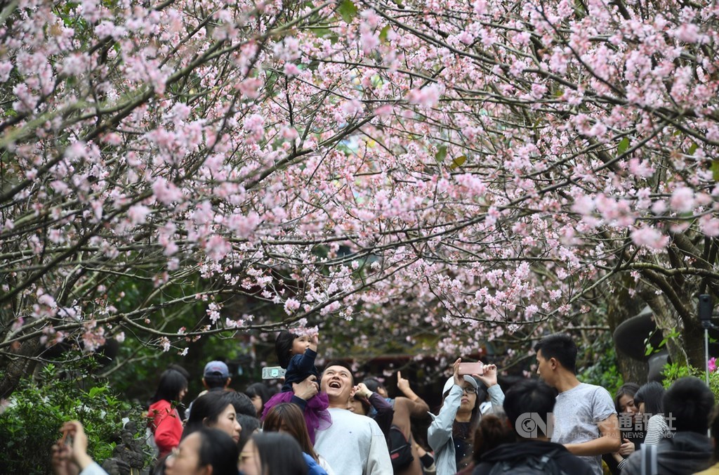 交通部觀光局5日公布4到6月春遊補助方案,自由行旅客住宿每人每日補助新台幣500元。(中央社檔案照片)