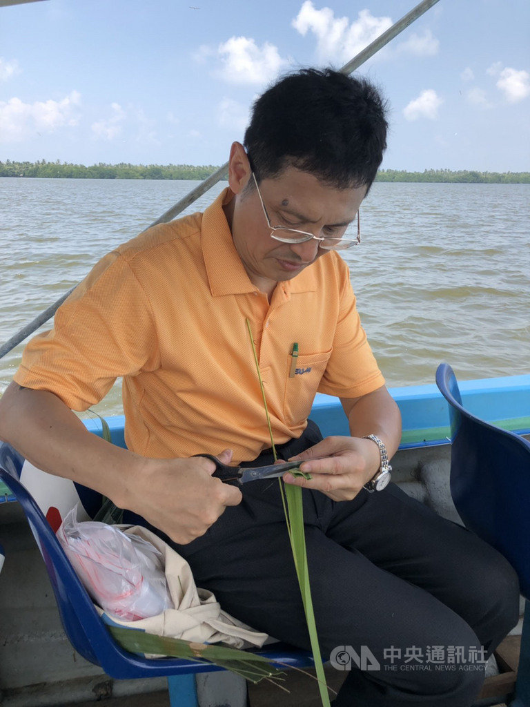 中山大學生物系主任江友中在斯里蘭卡奈哥波瀉湖採集水椰子。(駐印度代表處提供)中央社記者康世人新德里傳真 108年3月6日
