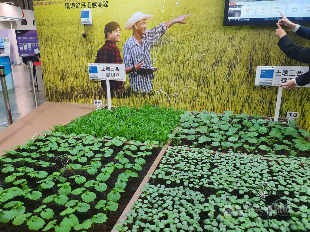 智慧城市展,中華電信一片綠油油的苗圃超吸睛,宣示智慧應用將深入農業領域,助青年農夫回鄉。中央社記者江明晏攝 108年3月29日