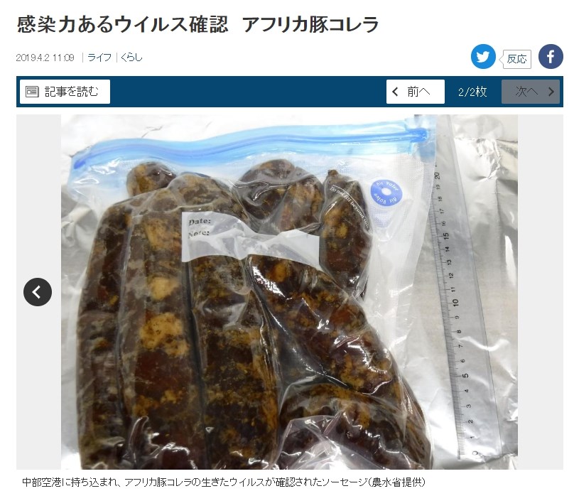 日本首度驗出有傳染力強的非洲豬瘟病毒被帶入境,來自兩名中國旅客入境中部國際機場(名古屋)時攜帶的香腸。(圖取自產經新聞網頁www.sankei.com)