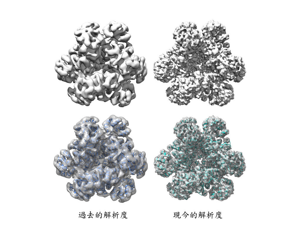 中央研究院18日發出新聞稿表示,中研院冷凍電子顯微鏡中心與國立中央大學合作,利用冷凍電顯技術,以原子級的解析度,分析出酵素的蛋白質構造,其研究成果有助於透過基因工程,生產更多生質燃料。(中研院提供)中央社記者余曉涵傳真 108年4月18日
