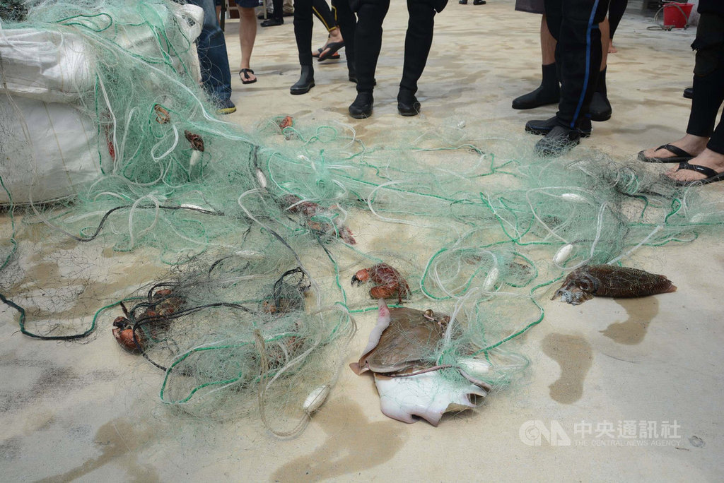 多位海洋保育志工21日前往澎湖香爐嶼海域清除海底覆網,共帶回500多公尺海底廢棄漁網,其中還有魟魚、螃蟹等海洋生物被漁網纏困。中央社 108年4月21日