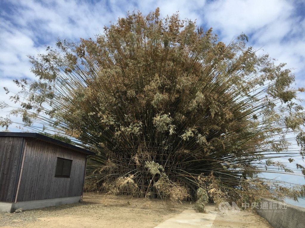 瀨戶內國際藝術祭2019於26日開幕,林舜龍推出大型作品「跨越國境‧波」,他希望讓參與的群眾跨越語言障礙,用身心感受人與人之間的互動。(林舜龍提供)中央社記者楊明珠東京傳真 108年4月26日