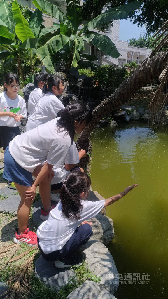 澎湖縣馬公市虎井國小師生26日赴高雄展開走讀學習,偏鄉孩子到高雄大都會進行與生活中不同的體驗,讓這趟學習之旅留下美好回憶。(馬公虎井國小提供)中央社 108年4月26日