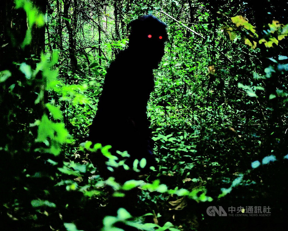 2019台北電影節6月底展開,今年影展期間將重映泰國影史首部榮獲坎城影展金棕櫚獎的電影「波米叔叔的前世今生」(Uncle Boonmee Who Can Recall His Past Lives)。(台北電影節提供)中央社記者洪健倫傳真 108年4月26日