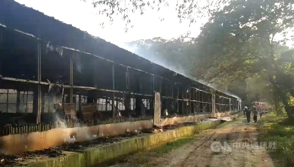 苗栗縣造橋鄉一處養雞場15日下午傳出火警,現場未傳人員受困,但場內剛放養的2萬隻小雞全都命喪火窟,讓業者損失慘重。(翻攝畫面)中央社記者管瑞平傳真 108年5月15日