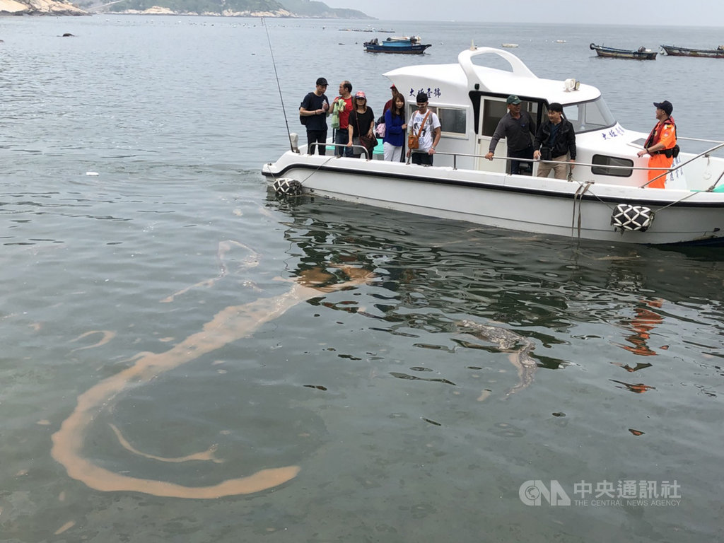 馬祖進入藍眼淚季節,相關海域16日上午出現今年密度最高的赤潮,赤潮就是晚上藍眼淚,預告近日將出現爆量的藍眼淚。(北竿大坵壹號娛樂漁船提供)中央社 108年5月16日