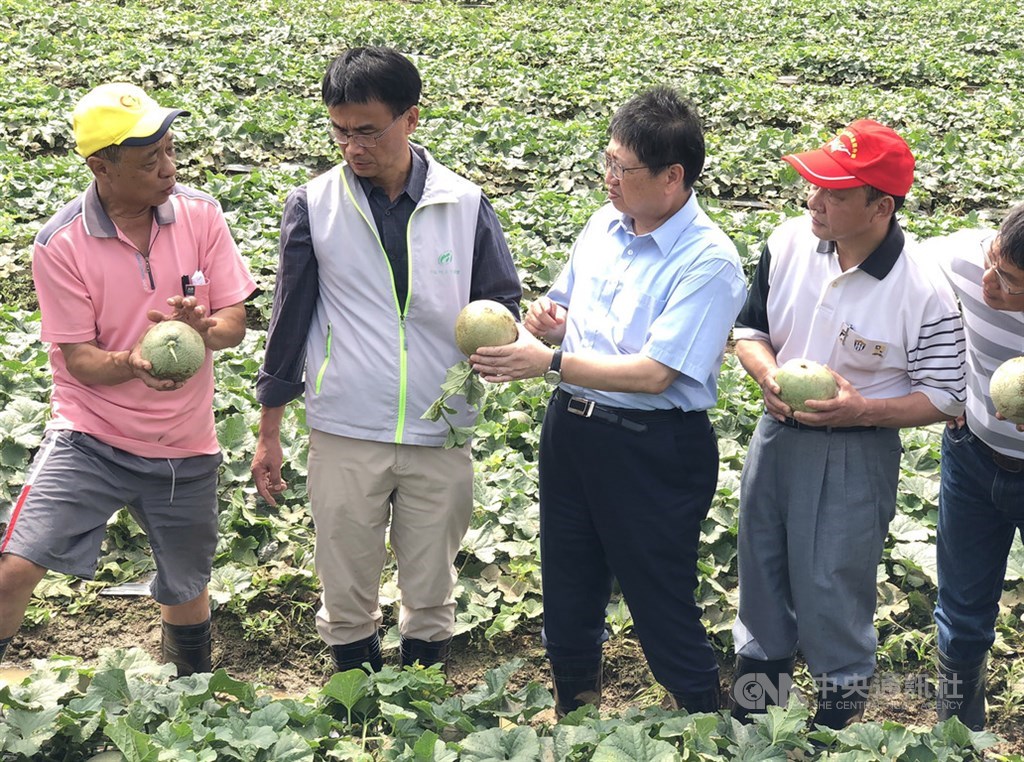 新竹地區17日遭強降雨突襲,當地農損慘重,農委會主委陳吉仲(左2)18日到新豐鄉視察災情,表示將全力協助農民。中央社記者郭宣彣攝 108年5月18日