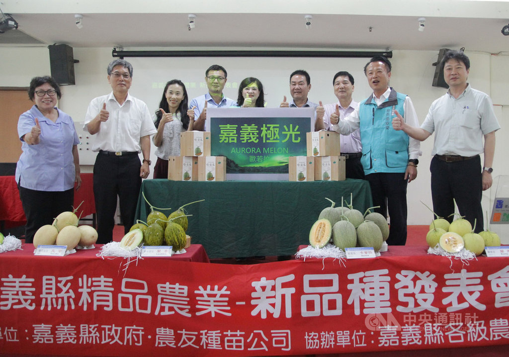 嘉義縣政府20日與農友種苗公司舉辦新品種優質瓜果發表會,共發表5種洋香瓜、1種哈密瓜新品種,其中哈密瓜新品種「卡蜜拉」,由縣長翁章梁(右2)命名為「嘉義極光」(AURORA MELON)。中央社記者江俊亮攝 108年5月20日