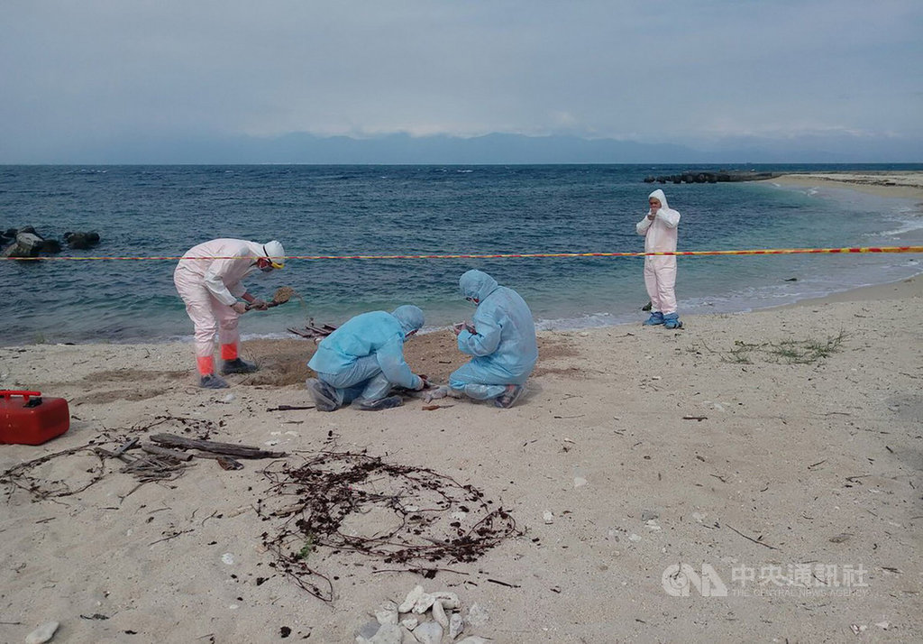 屏東縣琉球鄉中澳沙灘25日驚現豬屍,屏東縣動物防疫所獲報隨即派員前往採樣,完成後豬屍已就地焚毀掩埋。(屏東動物防疫所提供)中央社記者郭芷瑄傳真 108年5月25日