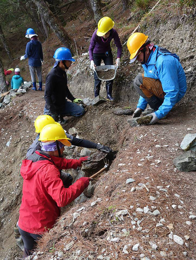 林務局台東林管處應徵「手作步道」工作,在海拔3000公尺高的嘉明湖步道進行手工維修,因報名人數眾多,提前停止報名。(台東林管處提供)中央社記者盧太城台東傳真 108年5月26日
