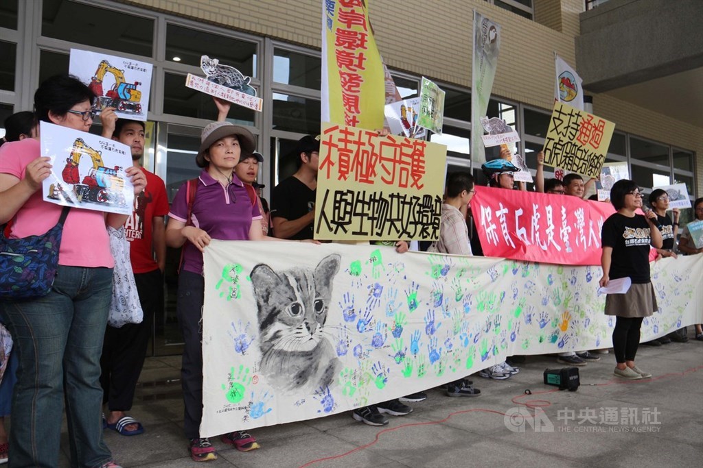 「苗栗縣石虎保育自治條例」草案,4日將在苗栗縣議會進行二、三讀討論,台灣石虎保育協會等保育團體到場聲援,盼落實石虎的棲地保護。中央社記者管瑞平攝 108年6月4日