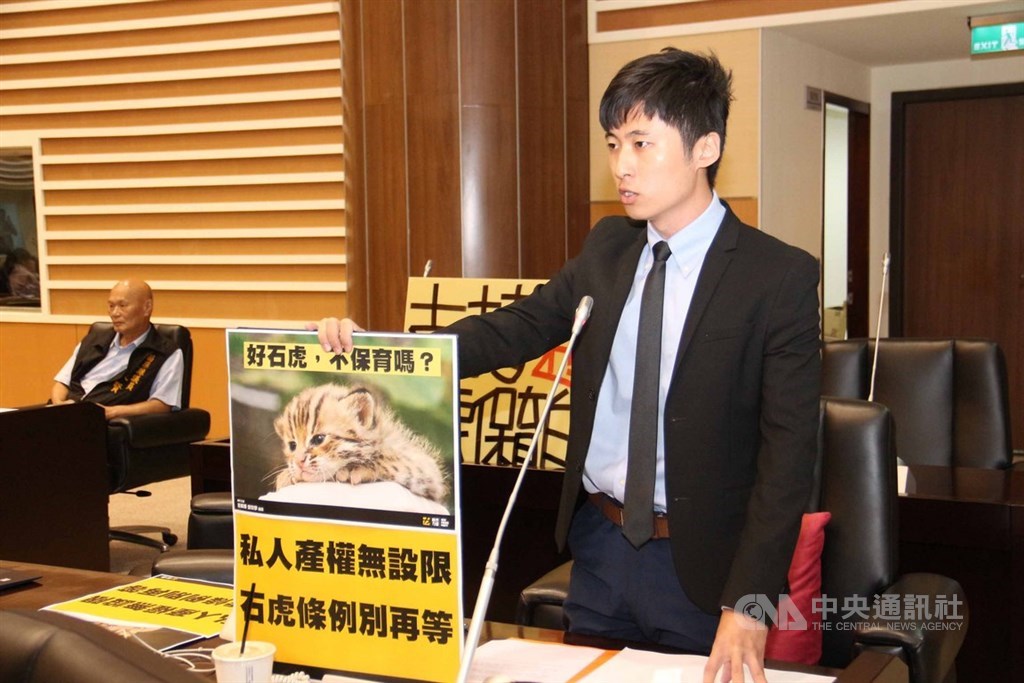 苗栗縣府擬定石虎保育自治條例草案,去年送縣議會闖關失敗,4日進入縣議會二讀會討論,最後表決結仍以25票反對、9票支持,決議將草案退回;會前力促草案通過的時代力量苗栗縣議員曾玟學(右)表示痛心與遺憾。中央社記者管瑞平攝 108年6月4日