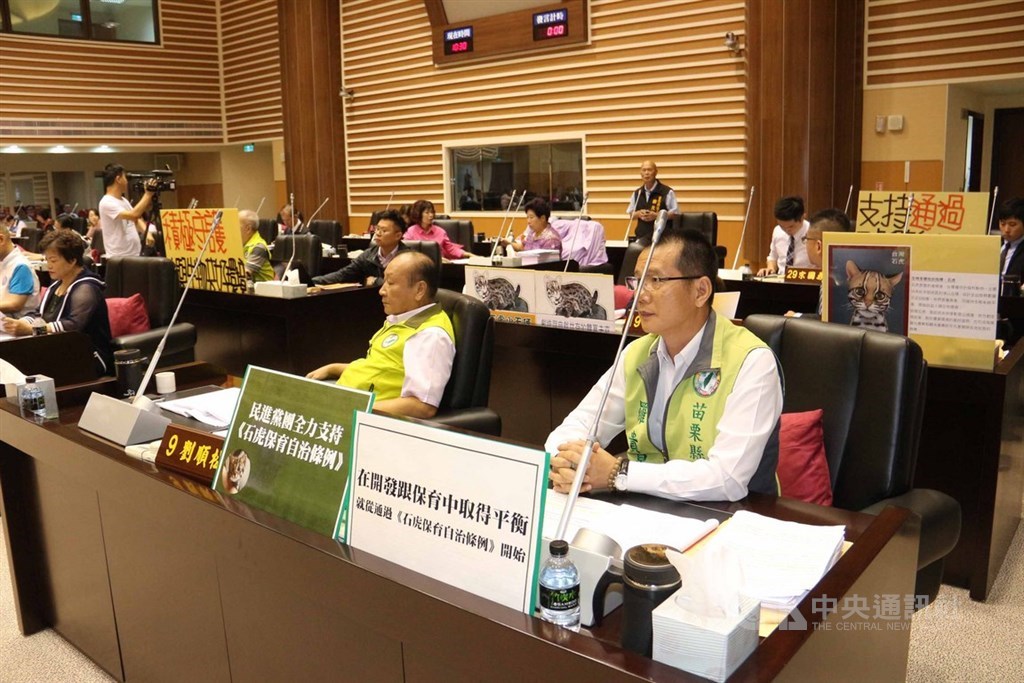 苗栗縣府擬定石虎保育自治條例草案去年送縣議會闖關失敗,今年捲土重來,4日進入縣議會二讀會討論,因正反意見僵持,議長鍾東錦裁示表決,表決結果,草案仍遭退回縣府。中央社記者管瑞平攝 108年6月4日