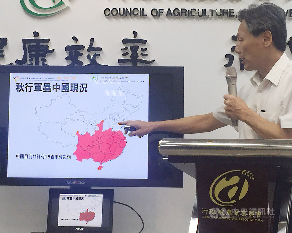 農委會防檢局10日舉行「確認發現秋行軍蟲」臨時記者會,判斷從中國隨西南氣流飄來的秋行軍蟲還是第一代,必須除乾淨,不然可能變成蟲災,會比禽流感還麻煩,滅除關鍵期就是這2到3週。中央社記者楊淑閔攝 108年6月10日