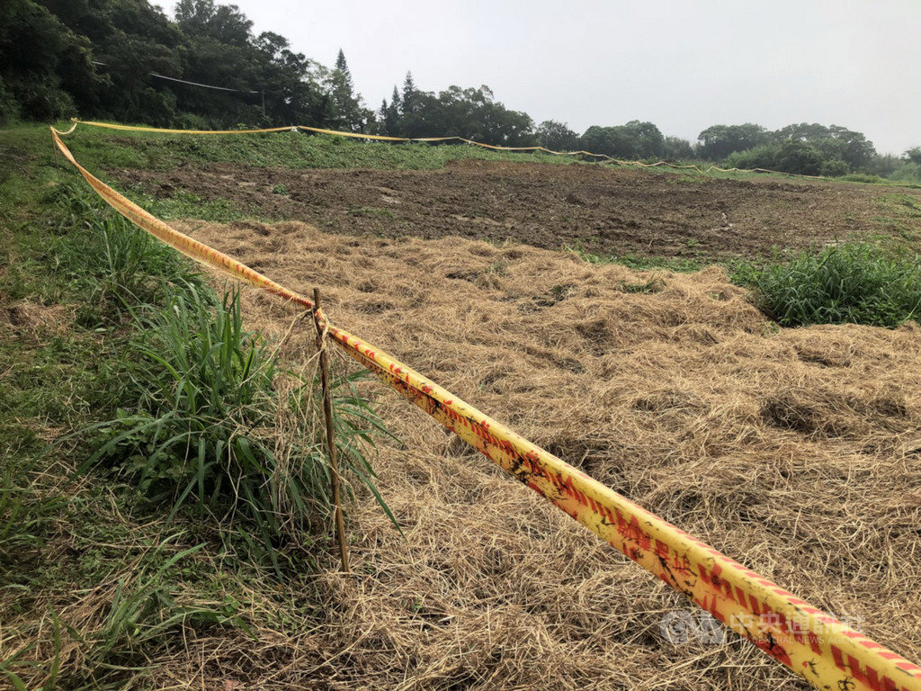 秋行軍蟲現蹤苗栗縣飛牛牧場玉米田,行政院長蘇貞昌11日前往現場視察,指示從中央、地方各單位全面防疫,並呼籲國人同胞要有警覺性,請全民一起警覺、防治,才能保護台灣。中央社記者管瑞平攝 108年6月11日
