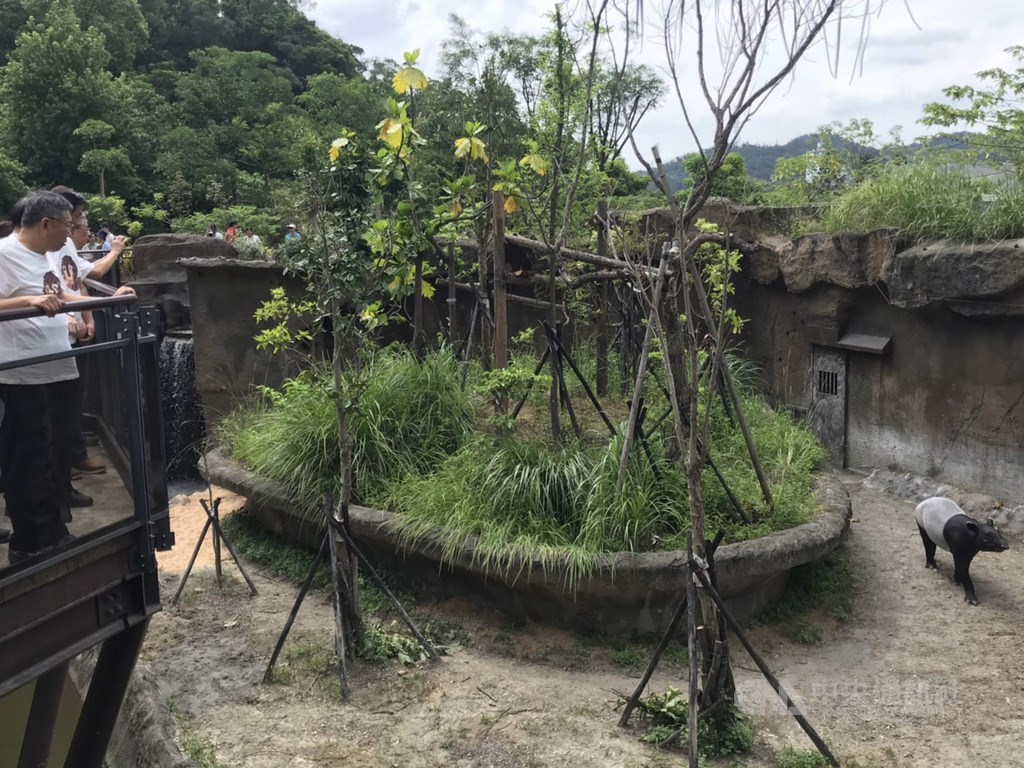以穿山甲為造型的台北市立動物園熱帶雨林館開幕,民眾將可近距離觀賞動物,台北市長柯文哲(左)8日下午出席開幕記者會,並進入館內參觀。中央社記者梁珮綺攝 108年7月8日